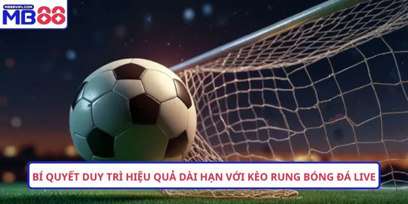 Bí quyết duy trì hiệu quả dài hạn với Kèo rung bóng đá live