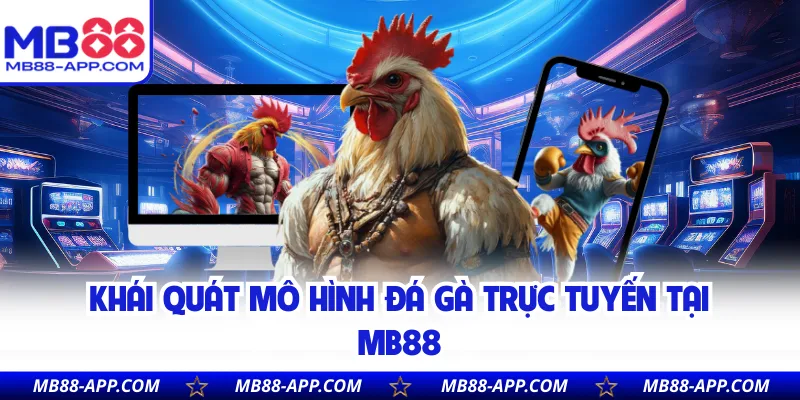 Khái quát mô hình đá gà trực tuyến tại MB88